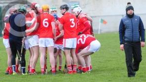 Poor finish ends in hurling league relegation for Louth in Monaghan