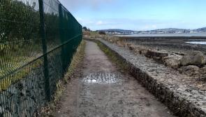 Dundalk Cllr Watters calls for repairs to storm damaged Carlingford Greenway 