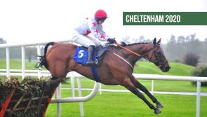 Our Cheltenham Tips: The horses to back on Day 1 of Cheltenham 2020