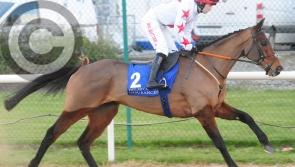 'This lad is the real deal' - Jockey Moore talks up Louth's 'impeccable' Cheltenham hopeful Darver Star
