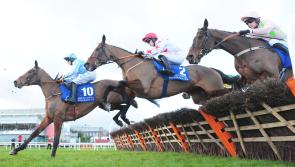 INSIDE TRACK | Why I won't be backing Louth's Darver Star for Cheltenham glory today