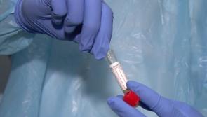 Sport and business should use rapid Covid-19 tests - report 