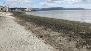 People flouting Covid restrictions at Blackrock beaches
