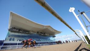 High class juveniles take the honours in competitive listed action in Dundalk