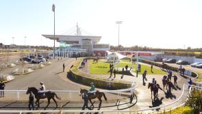 No racing at Dundalk Stadium today - 'It's important that we keep participants safe at this time'