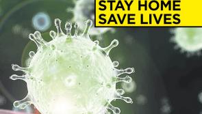 An updated list of essential workers who can leave home on during the January Level 5 lockdown