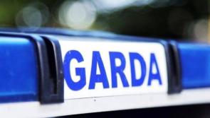Man in his 40s left in 'critical condition' following serious assault in Monaghan 