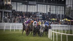 Revised 2020 Irish horse racing fixture list includes more racing in Dundalk