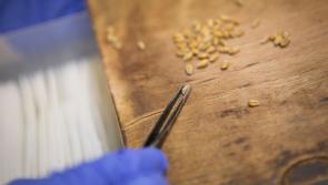 Warning issued to people who receive mysterious seeds in the post 