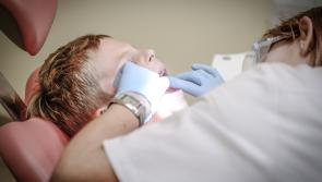 Louth TD slams dental crisis in the county as  "scandalous"