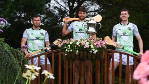 All-Ireland Poc Fada finals in Louth postponed due to Covid-19