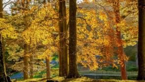 "Warm front" - Weather forum predicting temperatures in 20s next week 