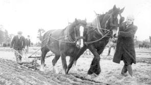 MEMORY LANE: The National Ploughing Championships were very different in the good old days