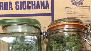 Louth gardaí on high alert after raid on cannabis operation 