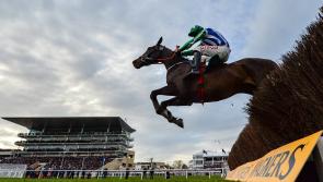 Irish owners face massive tax bill if sending horses to Cheltenham