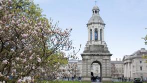 Louth students receive Trinity College Entrance Exhibition awards