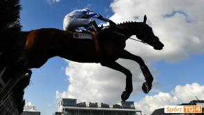 TG4 announce Valentine&rsquo;s Day special with live coverage from Punchestown