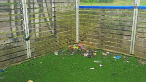 Dundalk astroturf need maintenance work