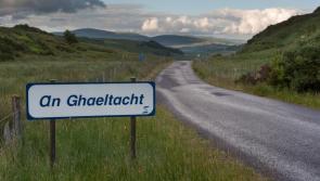 INTO calls for review of online Gaeltacht course fees