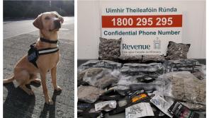 Detector dog Bailey sniffs out drugs destined for addresses in five counties at postal hub