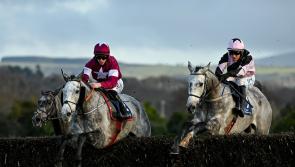 IRISH GRAND NATIONAL - Three horses worth backing at Fairyhouse on Easter Monday