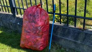 Local people called on to join Dundalk Tidy Towns Spring Clean