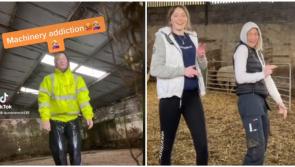 WATCH: Farmer becomes huge hit on TikTok 