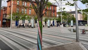 Maypoles celebrate Bealtaine festival in Dundalk