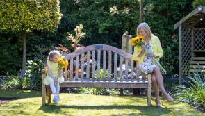 North Louth Hospice Invites people to get involved in Virtual Hospice Sunflower Day