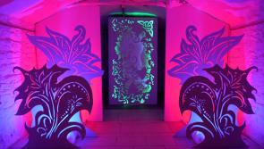 Stunning exhibition in Dundalk's An Táin Art Centre's Basement Gallery