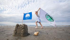 Blue Flag award  for Louth beach welcomed