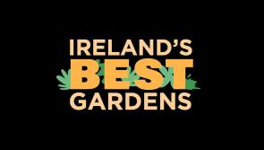 Are you Ireland's best gardener? - RTE show seeking contestants from Louth