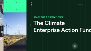 Enterprise Ireland initiatives encouraging Louth firms to start planning for a green future
