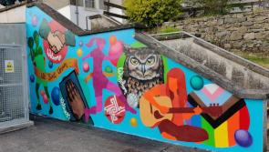 Dundalk school gets stunning new mural