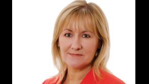 Louth TD calls for review of mental health services