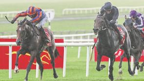 Ticket arrangements for Dubai Duty Free Irish Derby released