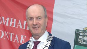 Labour's Pio Smith elected as Cathaoirleach of Louth County Council