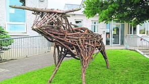 Students and staff welcome Brown Bull of Cooley to Scoil Naomh Mhuire
