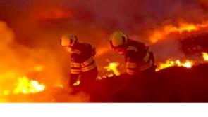 ALERT: Warning about forest fires issued by Department of Agriculture 