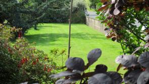 Dundalk couple opening their garden to public to raise funds for Hospice