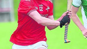 Late drama against Cavan as controversial goal dashes Louth hurlers hopes 