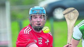 Louth hurlers back in the hunt for Lory Meagher Cup following decisive Cavan win