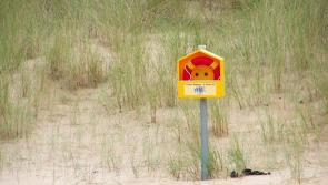Nine drownings in seven days - stay safe appeal to water users in Louth and around the country