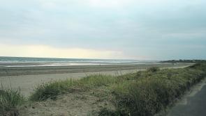 Louth beach comes up shining in coastal litter survey