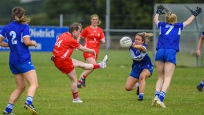 Louth bow out of Intermediate Championship as Laois purple patch proves costly 