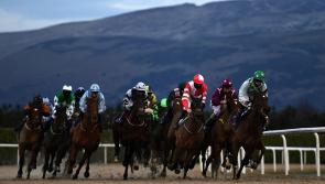 Ger Lyons bags double as punters return for Bar One Racing Race Day at Dundalk