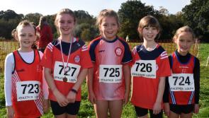 St Gerard's Dundalk continuing to prosper with impressive cross country showing