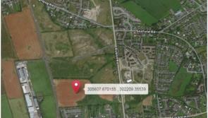 Extension sought on planning application to build 257 houses in Haynestown in Dundalk