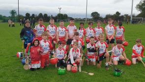 Knockbridge and St Fechins capture the honours at the Peggy McCreesh Hurling blitz