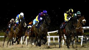 Eight different trainers take the spoils on tough night for punters in Dundalk